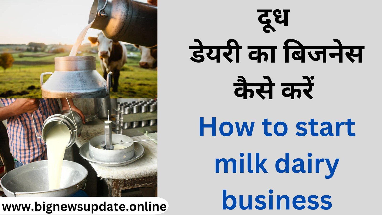 दूध डेयरी का बिजनेस कैसे करें How to start milk dairy business